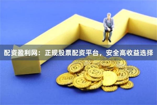 配资盈利网：正规股票配资平台，安全高收益选择