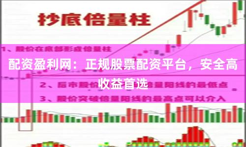 配资盈利网：正规股票配资平台，安全高收益首选